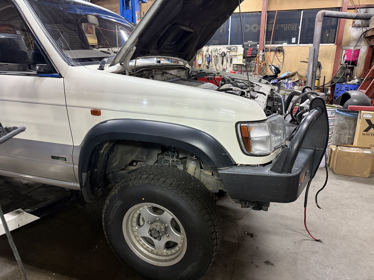 ビックホーン　2025年2月　パドックニュー ス